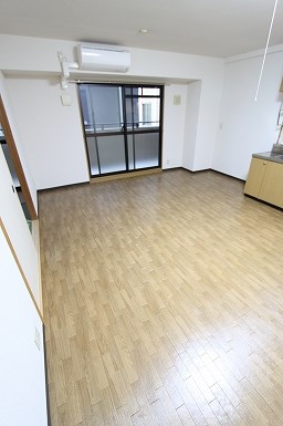 ハイシュタイン堀江の居間写真