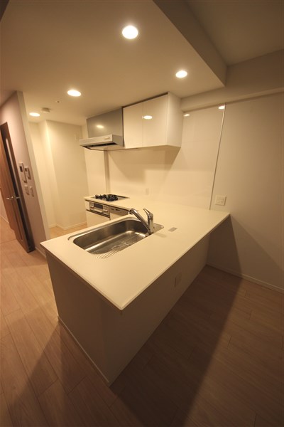 プレミスト堺筋本町ラディーナの居間写真
