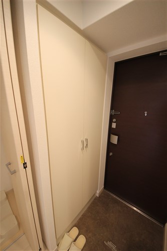 プレサンス心斎橋ラヴィのその他写真