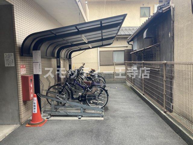 べルシーダ筒井のその他写真