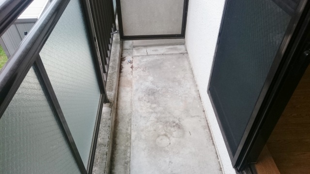 ヴェルディ王寺のその他写真