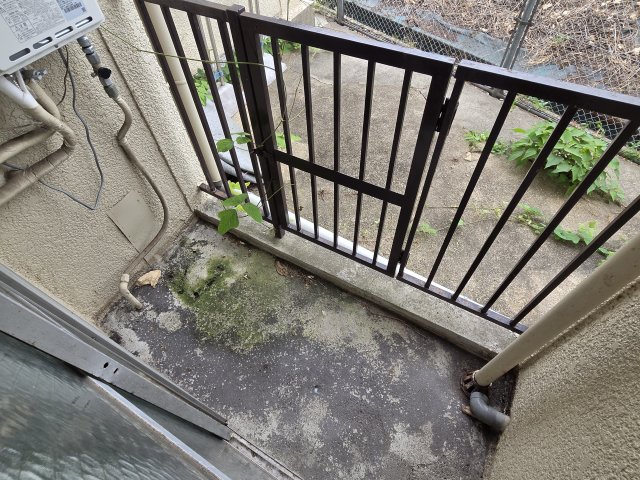 新和マンションのその他写真