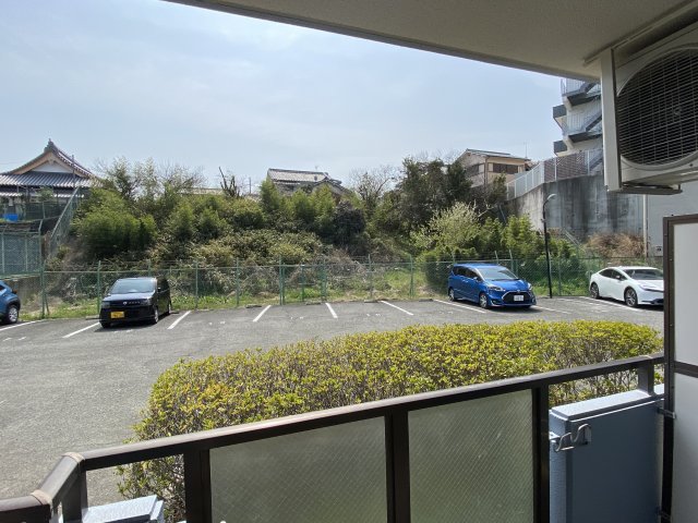 リオグランデー由希のその他写真
