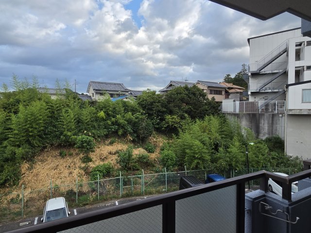リオグランデ由希のその他写真
