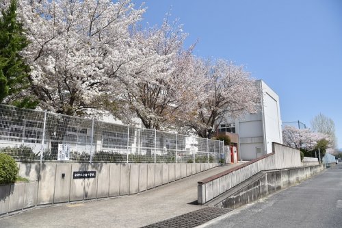 関西本線 法隆寺駅 徒歩23分 2階建 築44年の周辺写真
