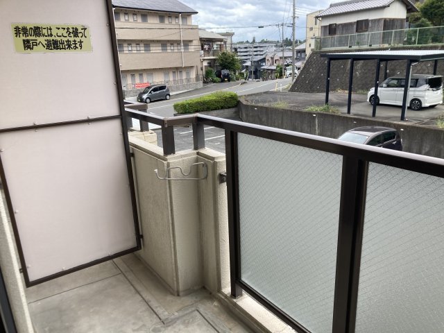 リオグランデ由希のその他写真
