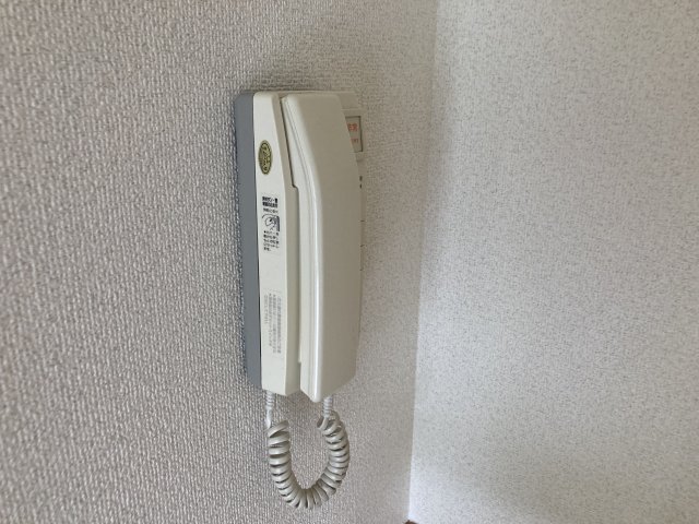 リオグランデー由希のその他写真