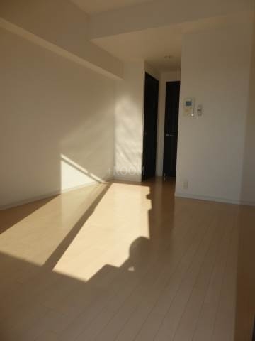 S-RESIDENCE難波EASTummの内装写真