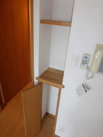 ラナップスクエア東梅田 plの内装写真