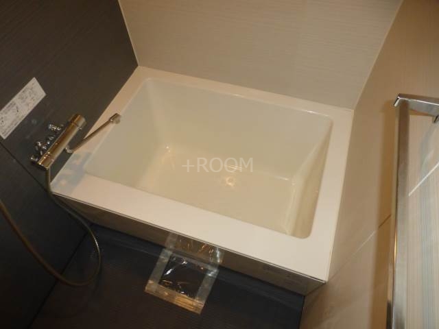 レジュールアッシュ難波リュクス+の内装写真
