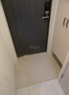 エスリード京橋アミュゼummの内装写真