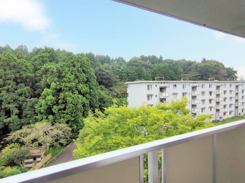 ビレッジハウス八日市場2号棟の内装写真