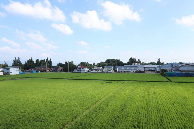 ビレッジハウスせんぼく1号棟の内装写真