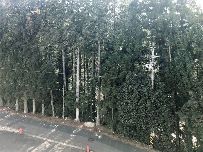 ビレッジハウス中津川第二1号棟の内装写真