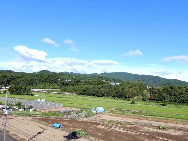 ビレッジハウス美園II8号棟の内装写真