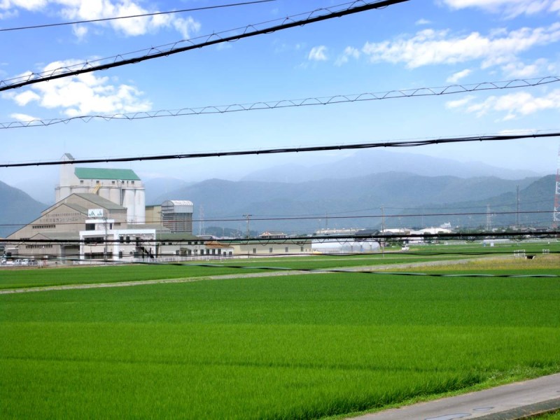 ビレッジハウス池田2号棟の内装写真