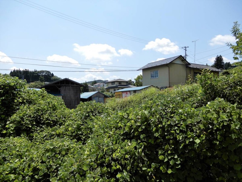 ビレッジハウス藤沢1号棟の内装写真